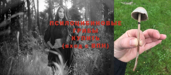 героин Белокуриха