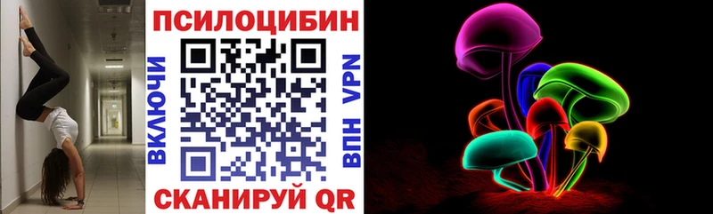 Псилоцибиновые грибы GOLDEN TEACHER Купить Алагир